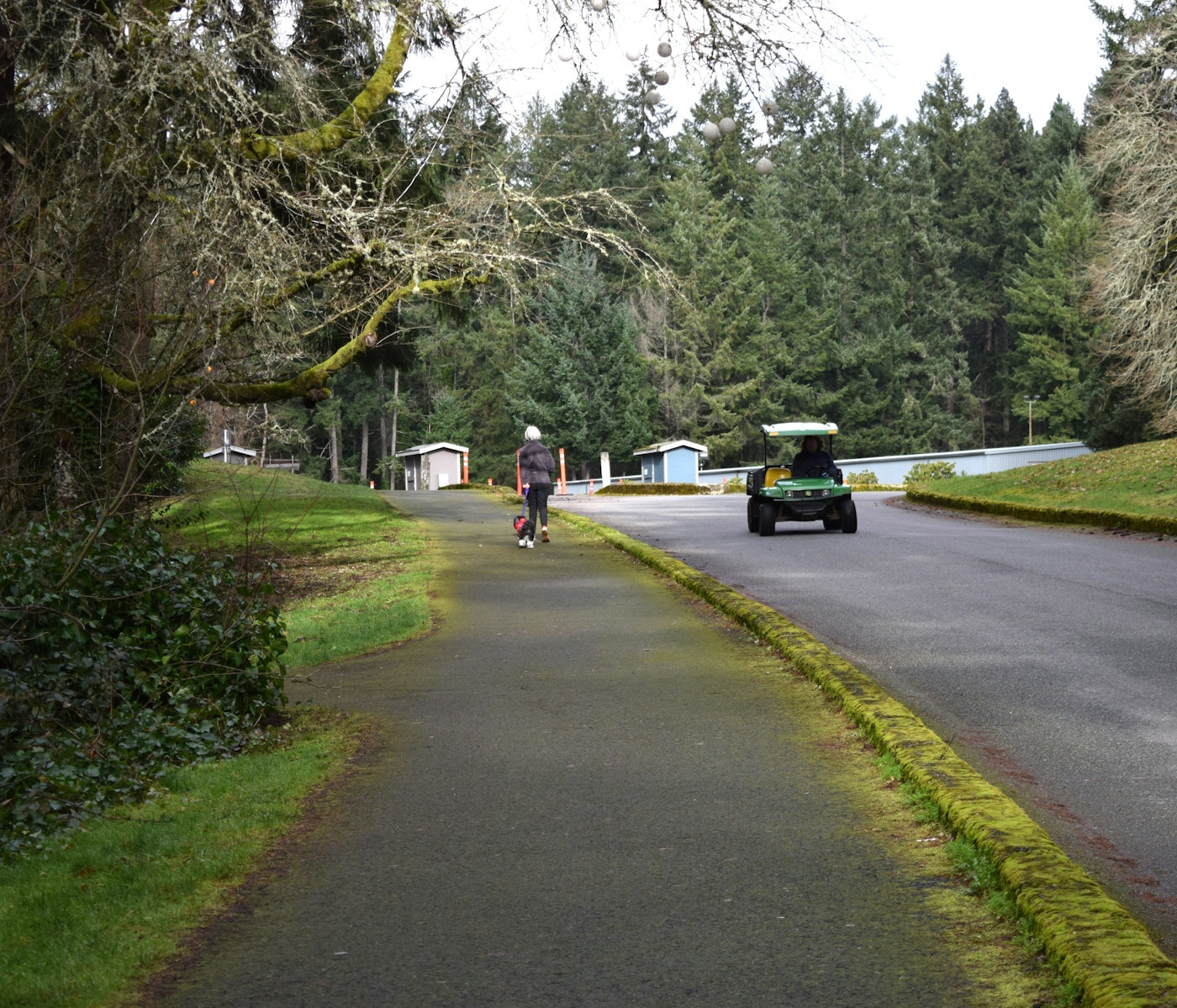 a man riding a bike down a road next to a forest